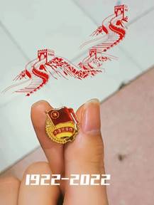 22011651493009_.pic